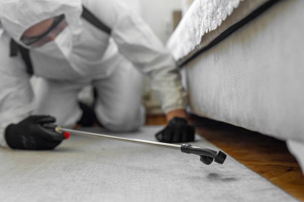 Professional Bed Bug Control technician working in Shelby County County, IN